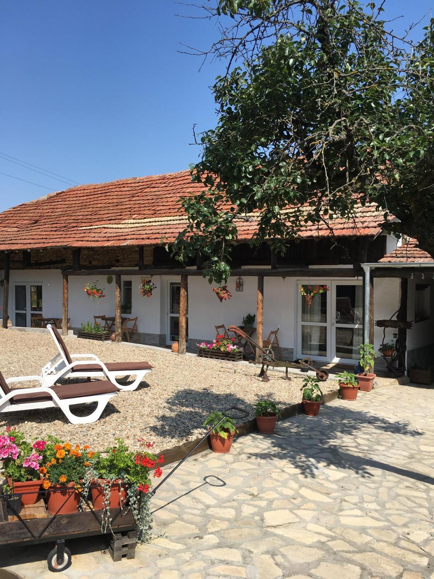 Sunflower Guest House Bulgaria Stefan Stambolovo المظهر الخارجي الصورة
